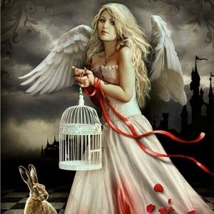 Meet your Posher, flipping angel 😇